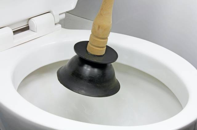 Common Causes of Blocked Toilets